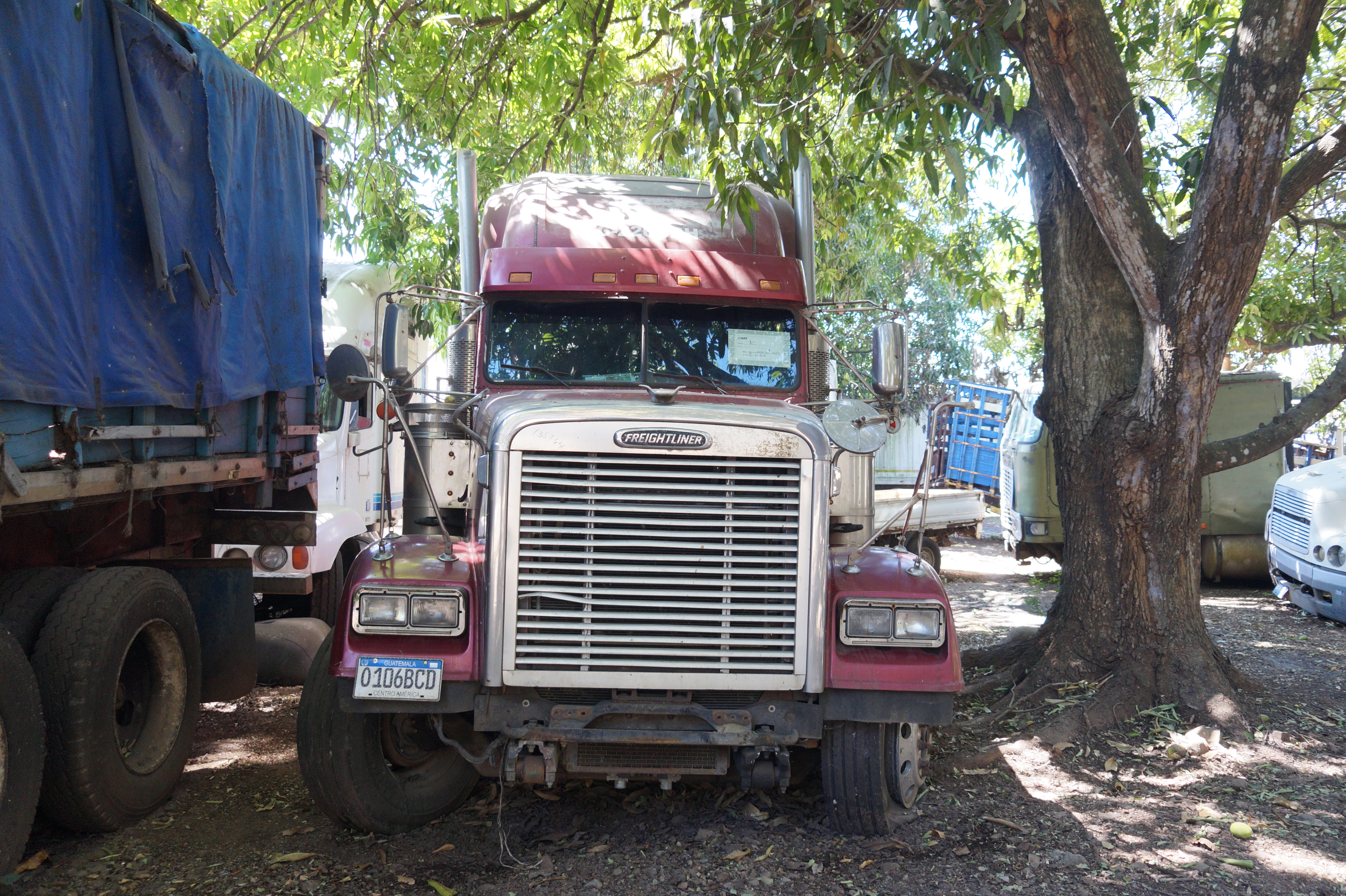 Cabezal Freightliner Classic XL 2006 (lote 08)