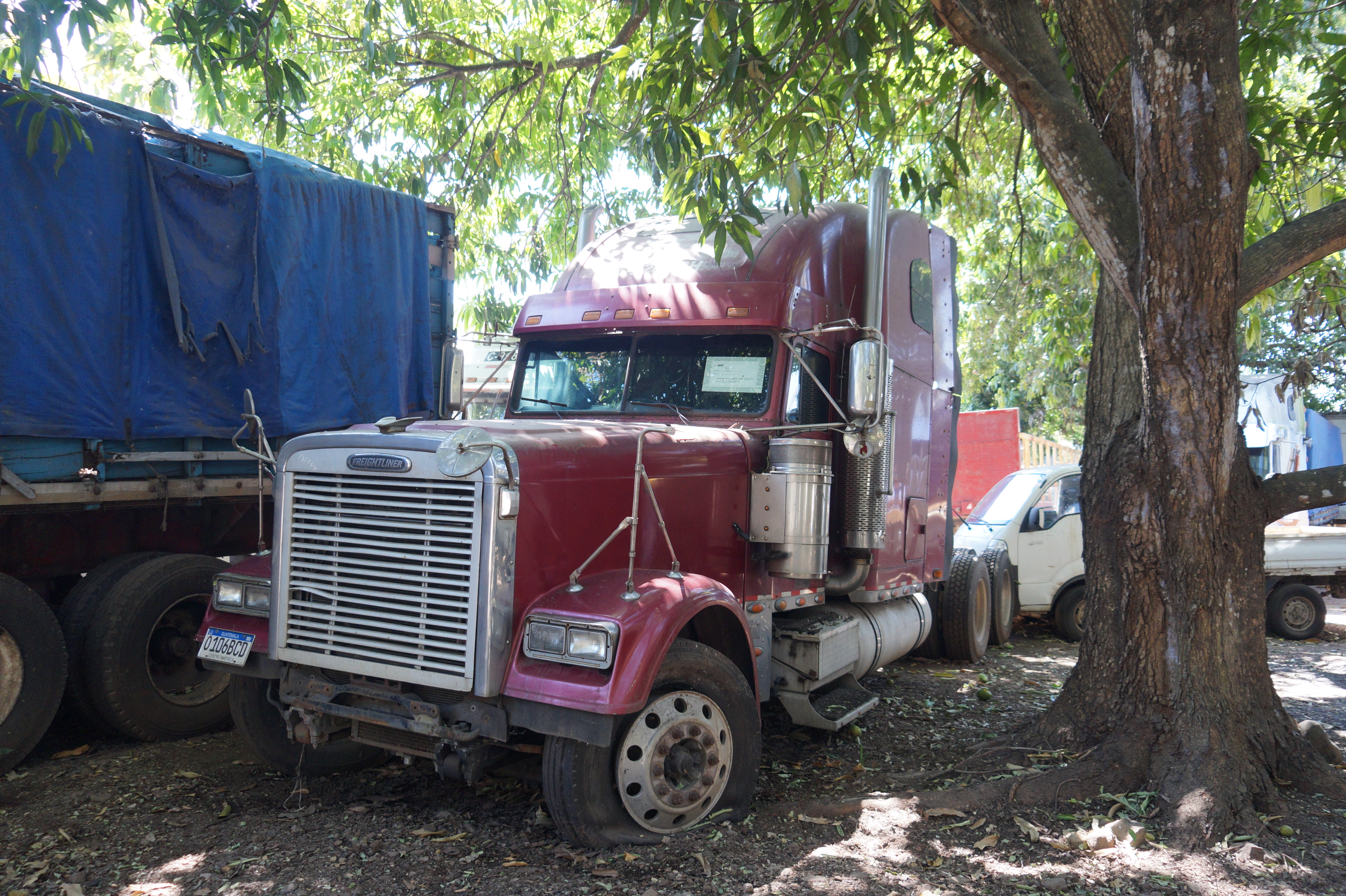 Cabezal Freightliner Classic XL 2006 (lote 08), fotografía 2