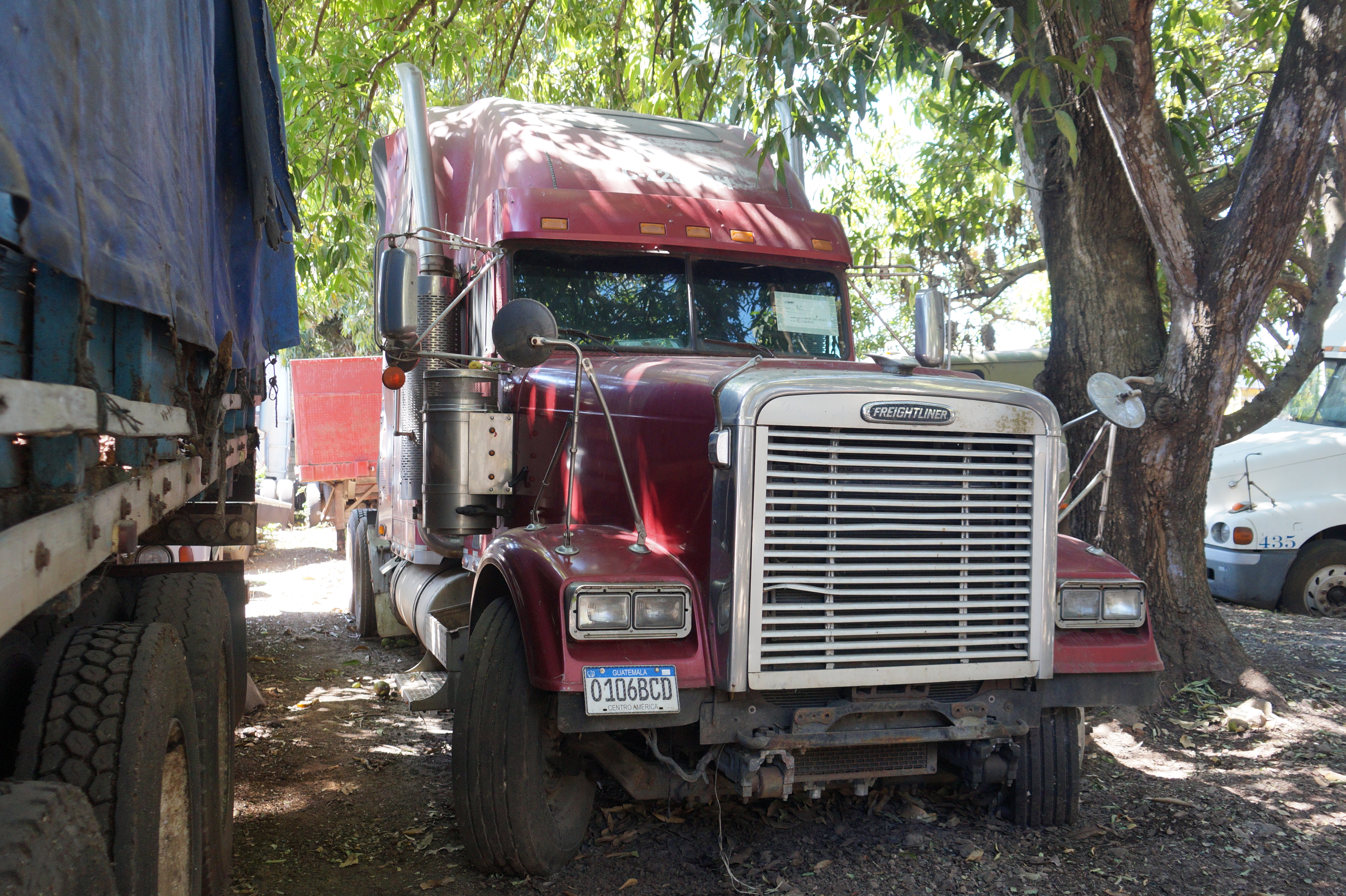 Cabezal Freightliner Classic XL 2006 (lote 08), fotografía 3