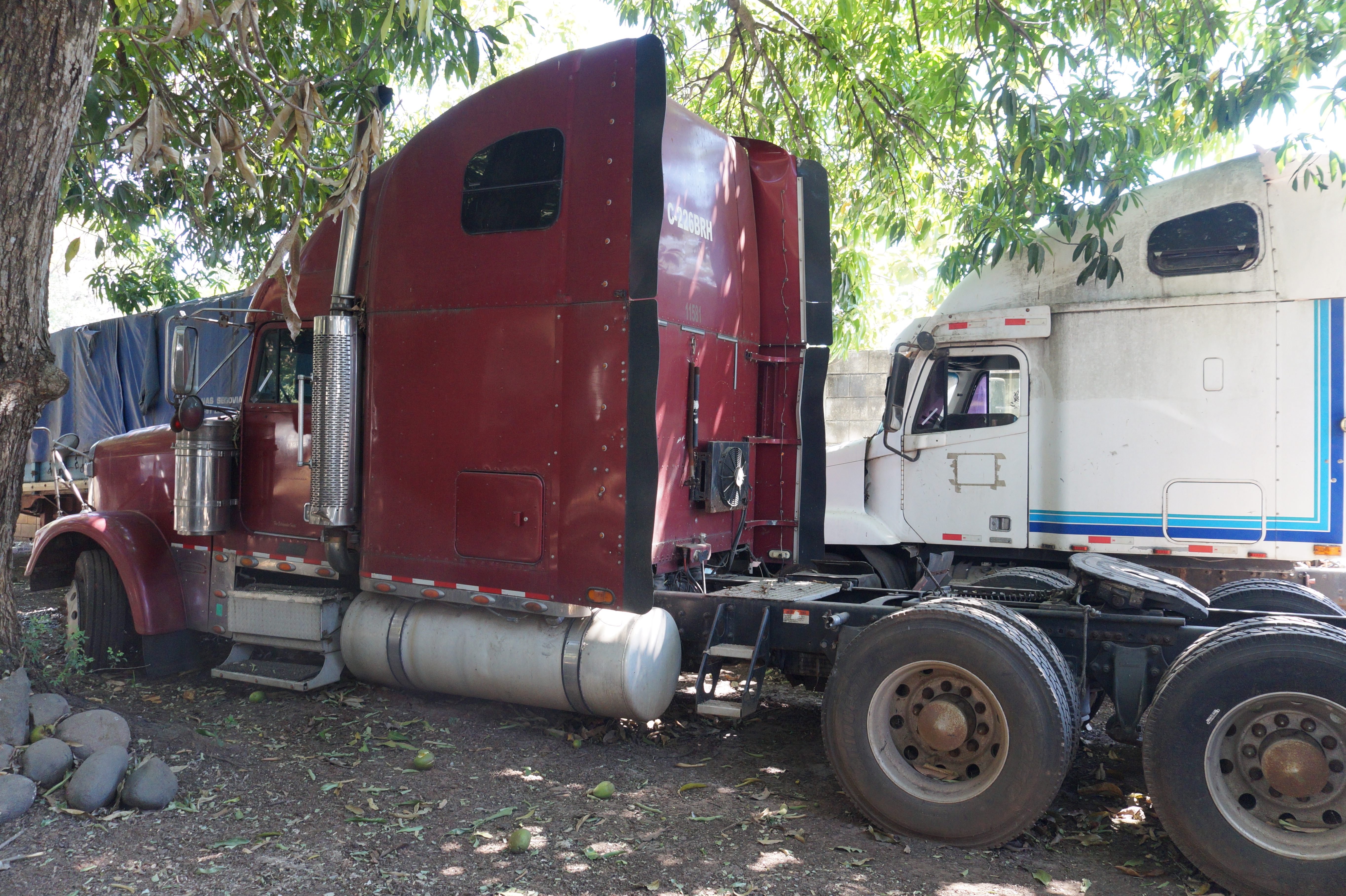 Cabezal Freightliner Classic XL 2006 (lote 08), fotografía 4