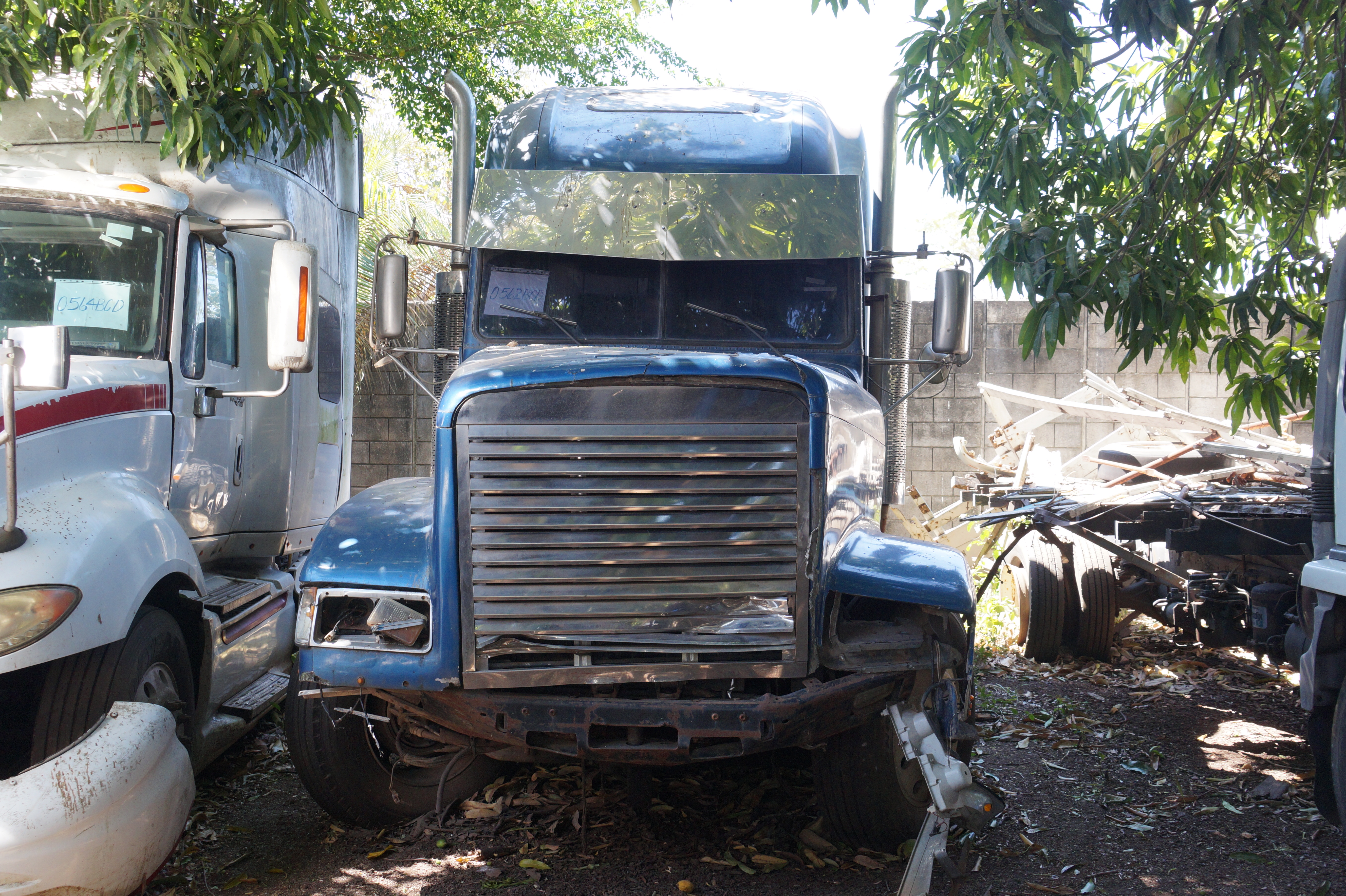 Cabezal Freightliner D120064S T 1996 (lote 09), fotografía 2