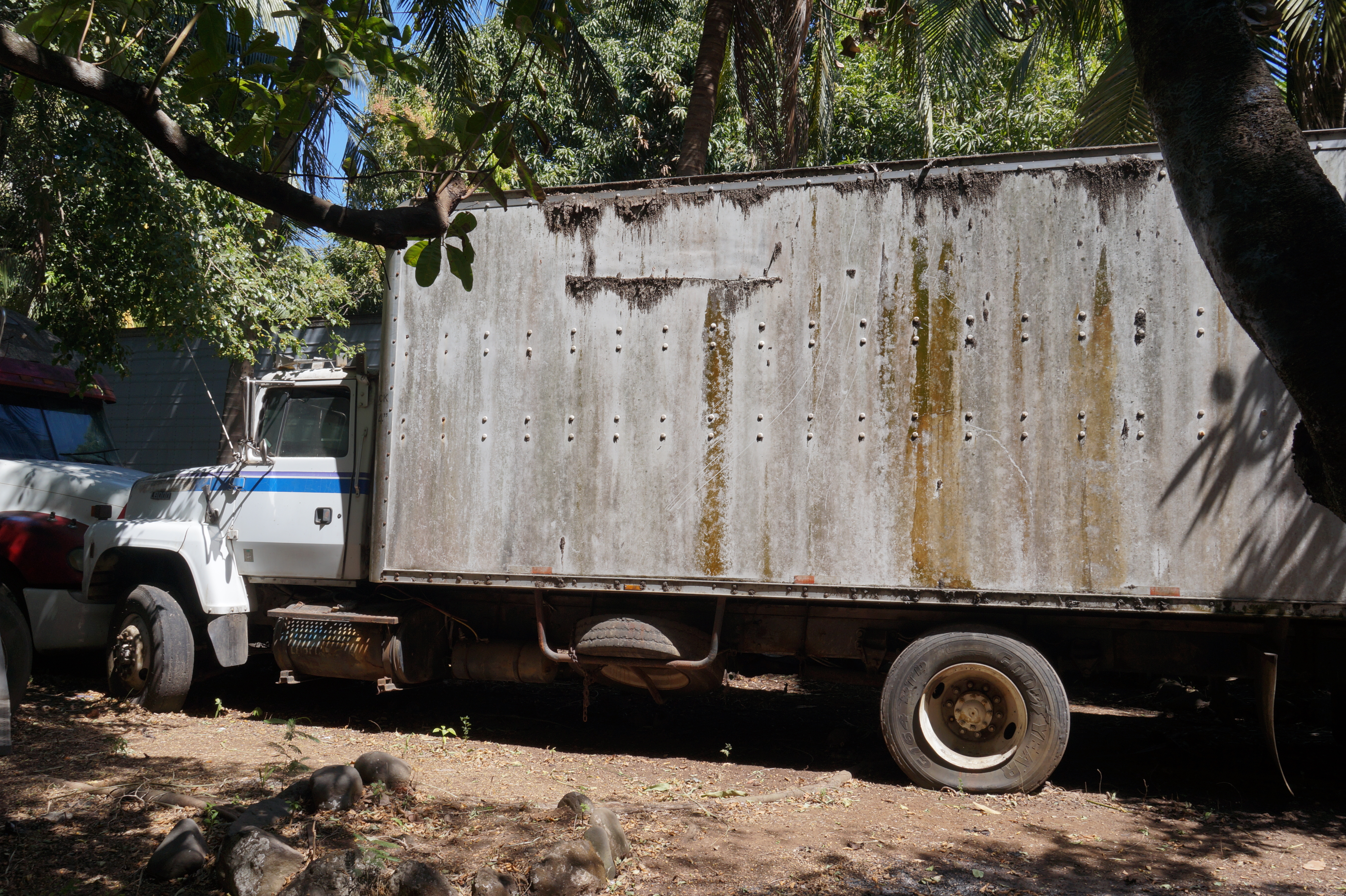 Cabezal Ford L8000 1995 (lote 20)