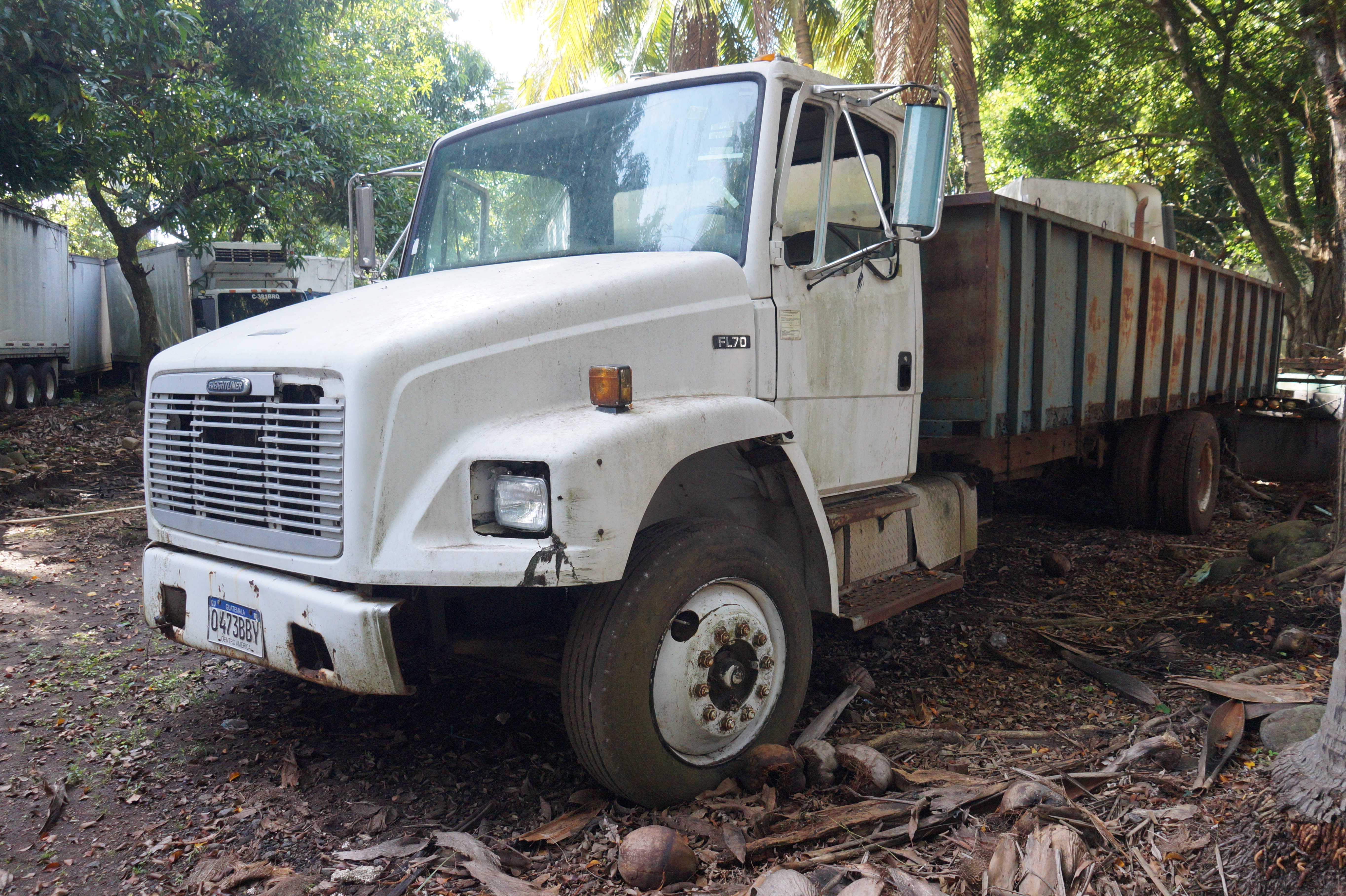 Camión Freightliner FL70 1996 (lote 22)