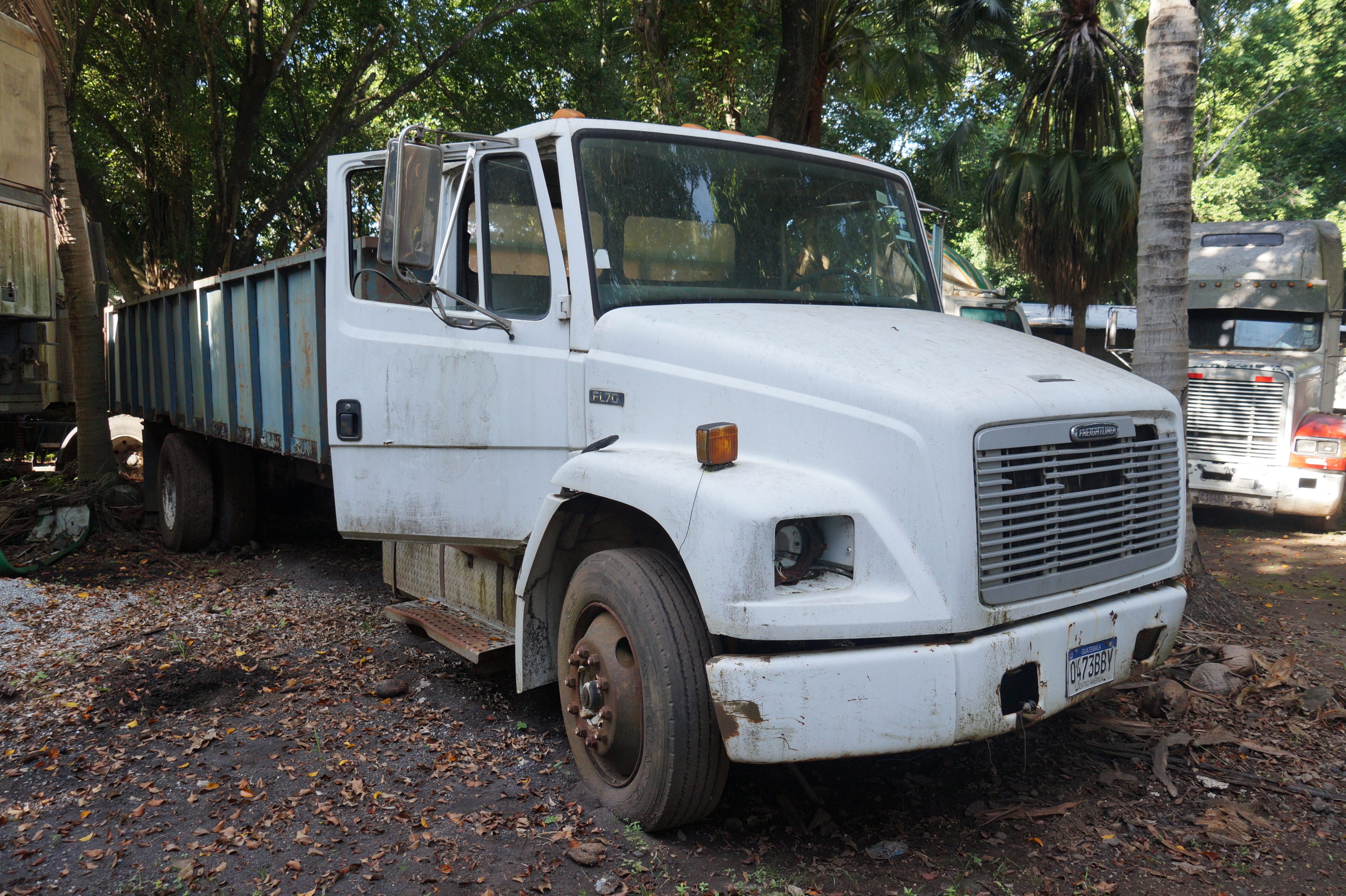Camión Freightliner FL70 1996 (lote 22), fotografía 2
