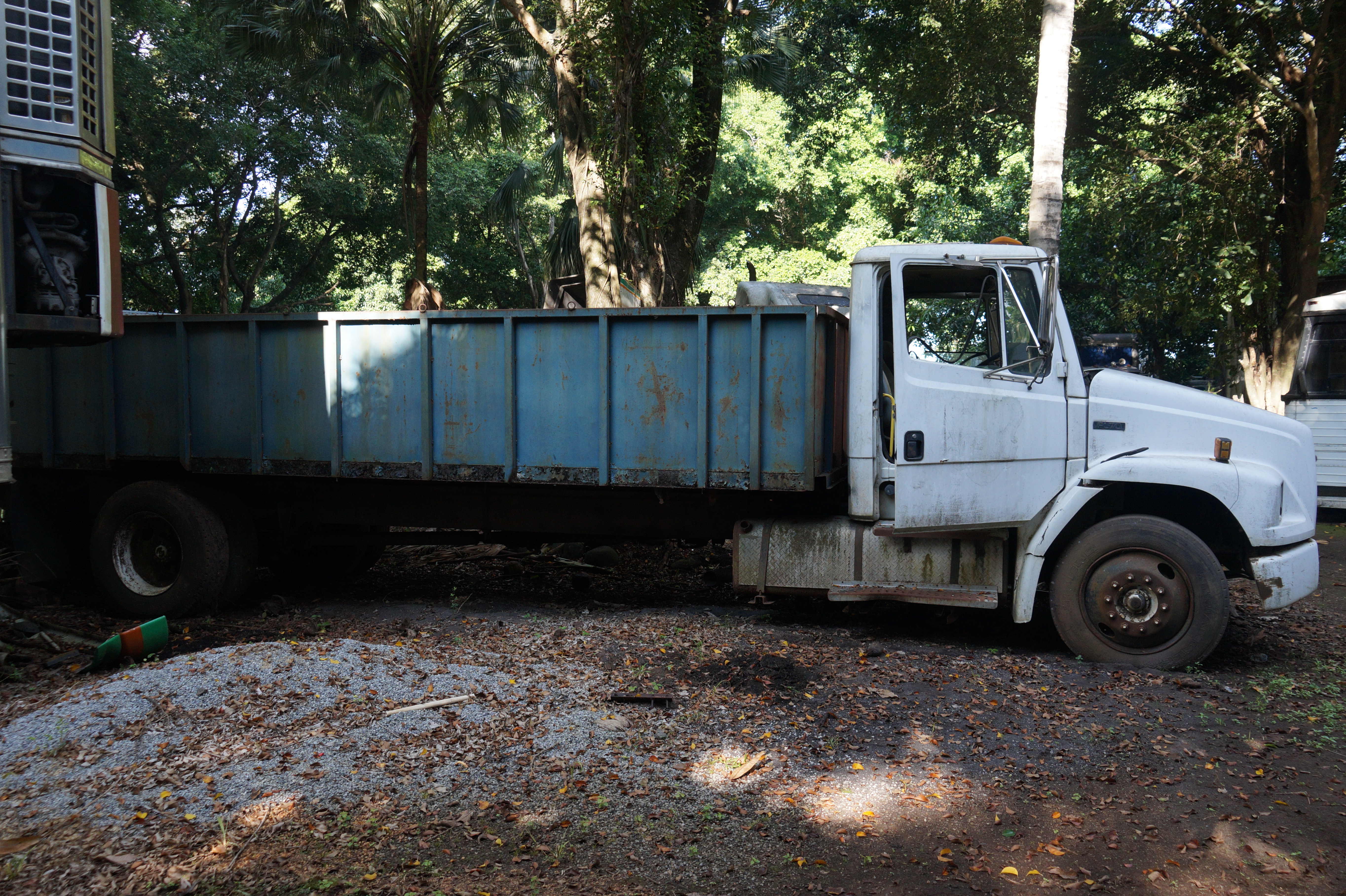 Camión Freightliner FL70 1996 (lote 22), fotografía 3