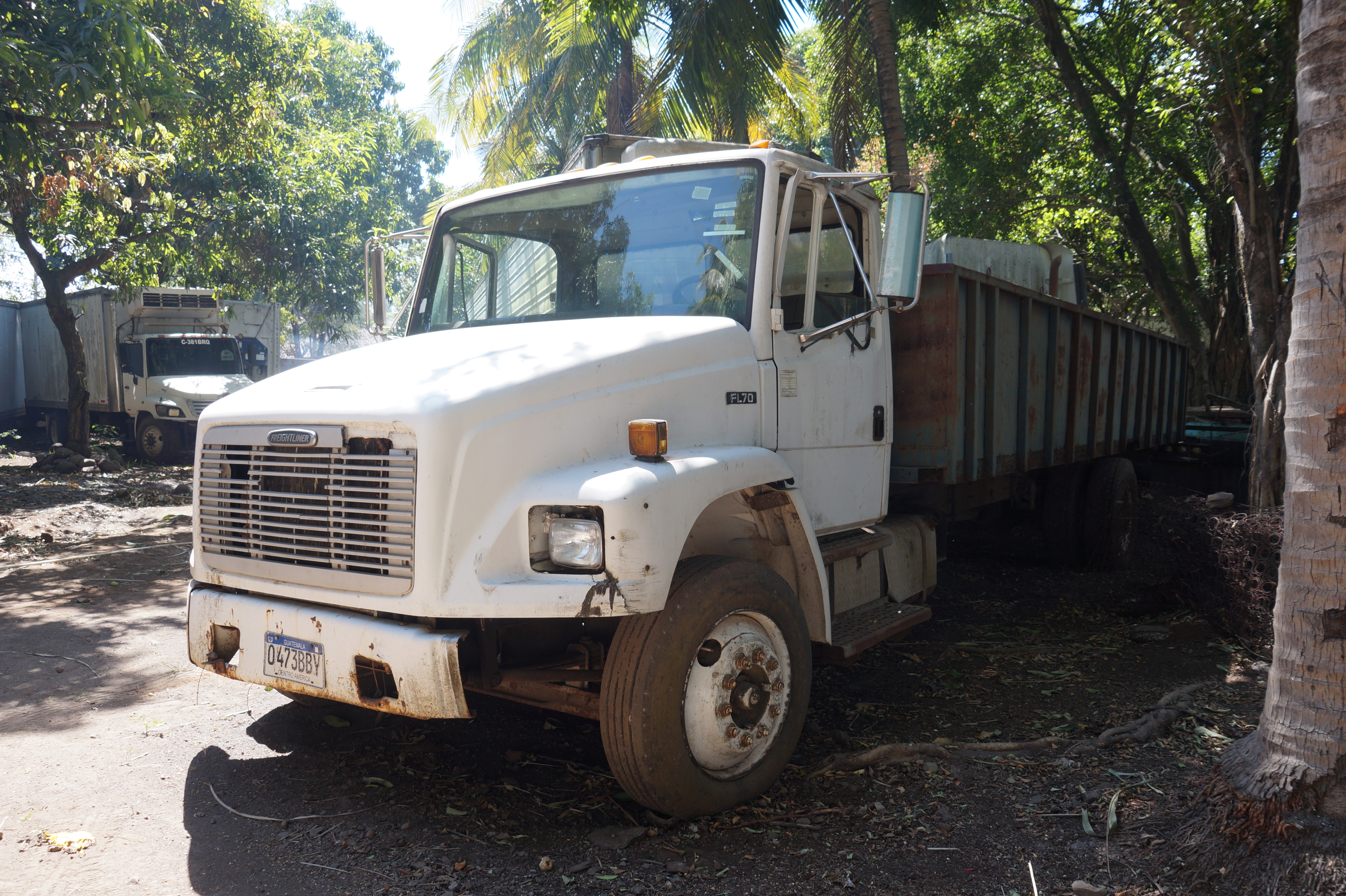 Camión Freightliner FL70 1996 (lote 22), fotografía 4