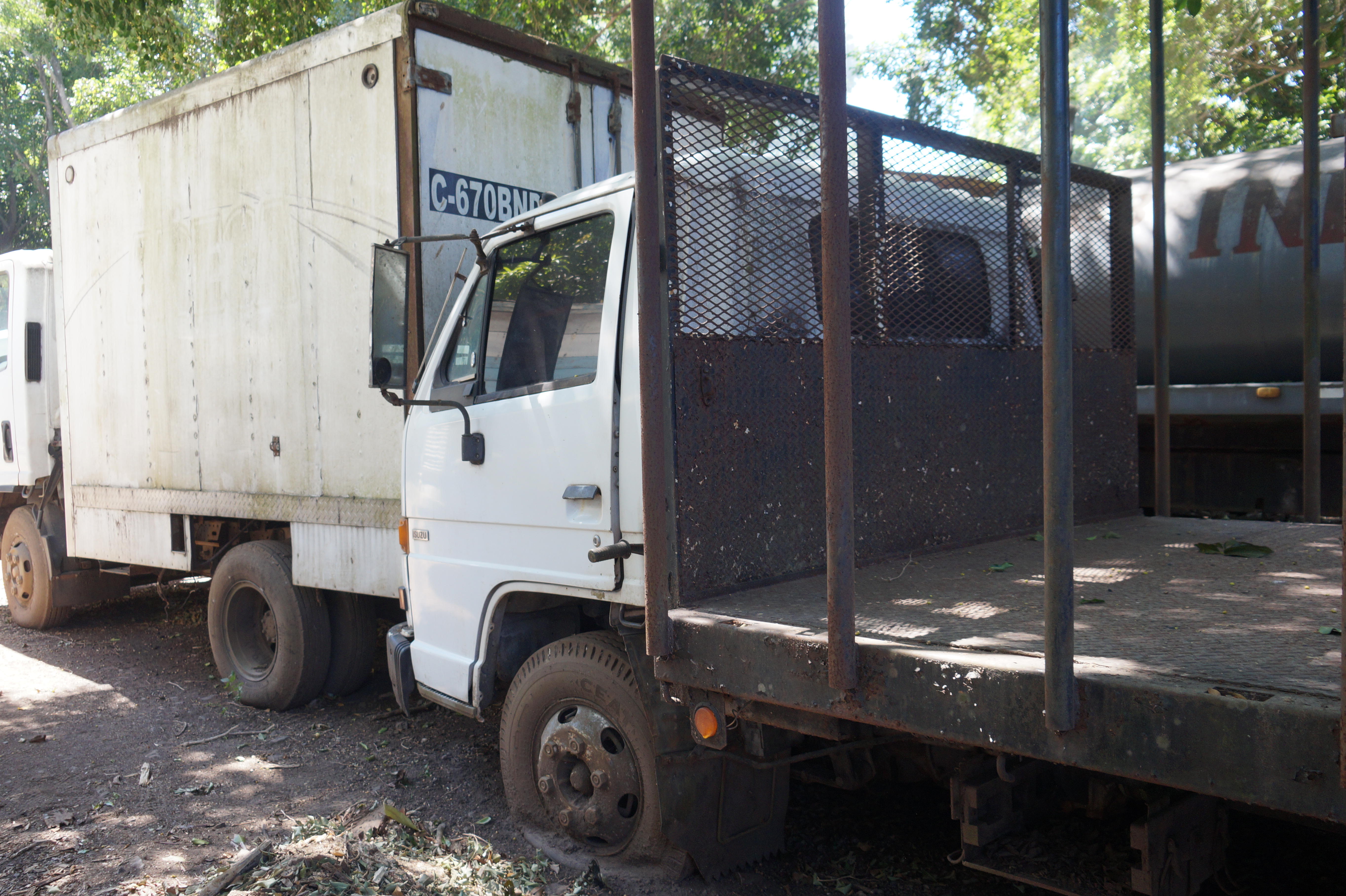 Camión Isuzu NPR 1995 (lote 29)