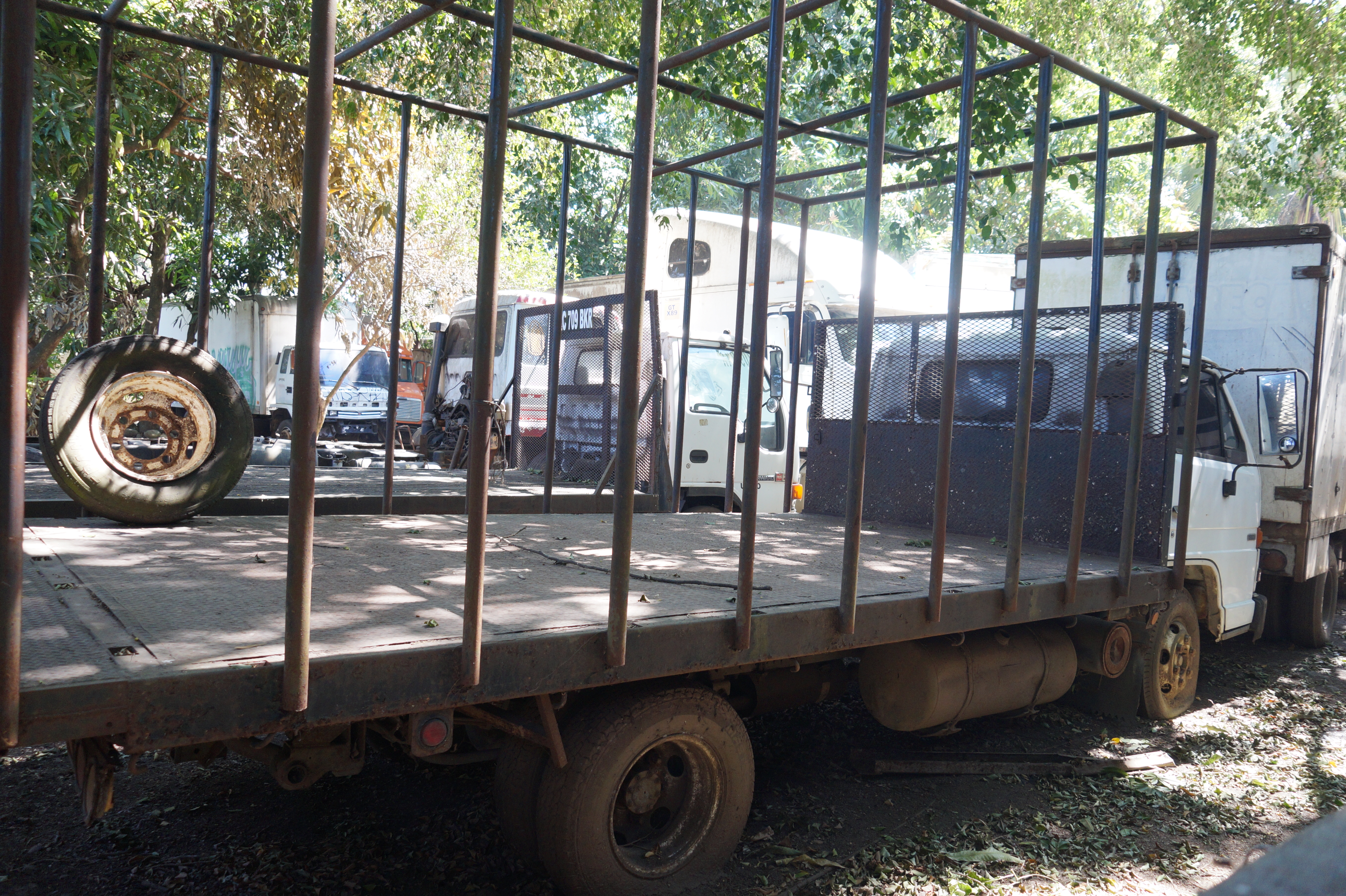 Camión Isuzu NPR 1995 (lote 29), fotografía 2