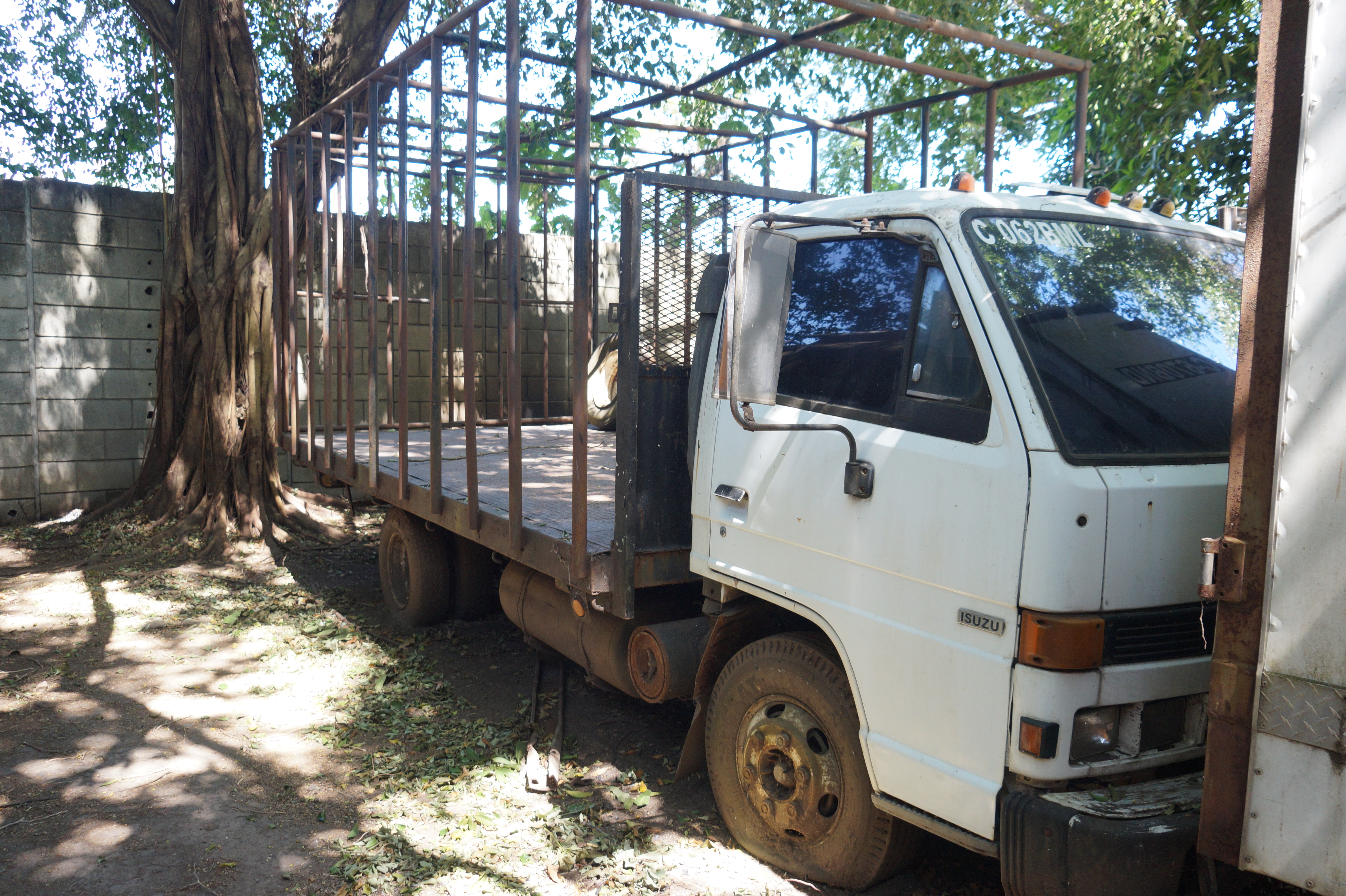 Camión Isuzu NPR 1995 (lote 29), fotografía 3
