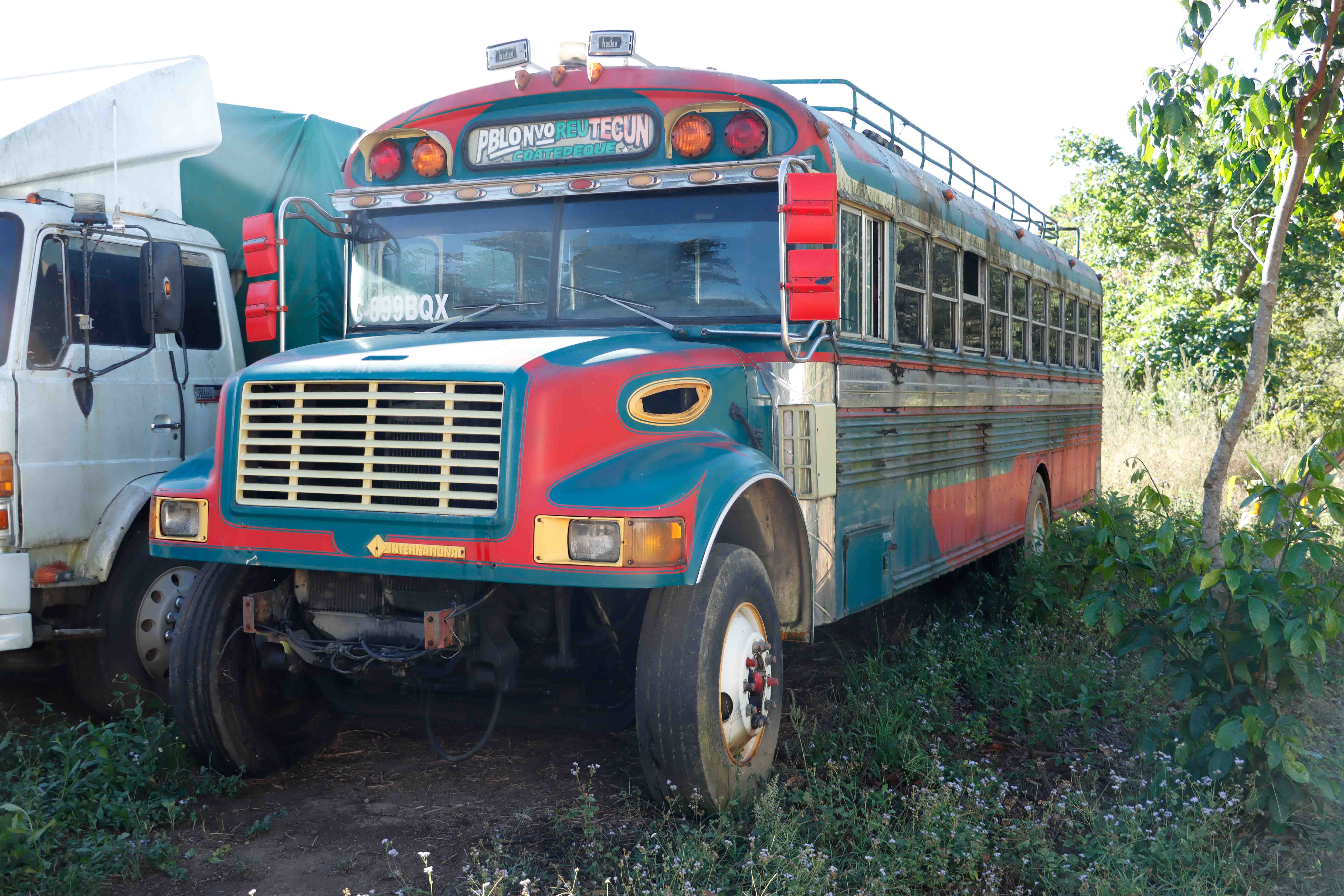 Bus International 3800 T444E 2001 (lote 01), fotografía 2