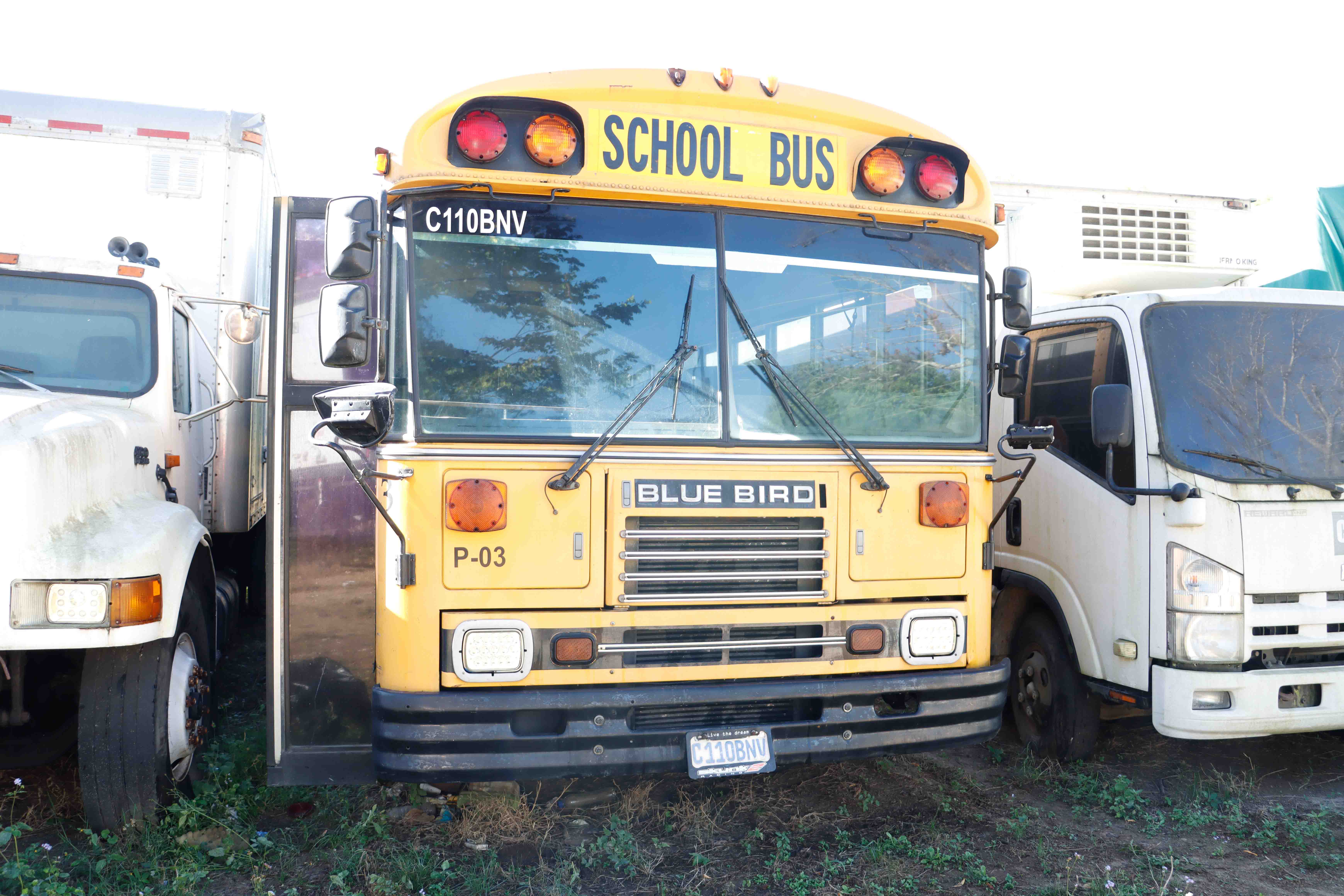 Bus Bluebird 7C2000 1998 (lote 02)