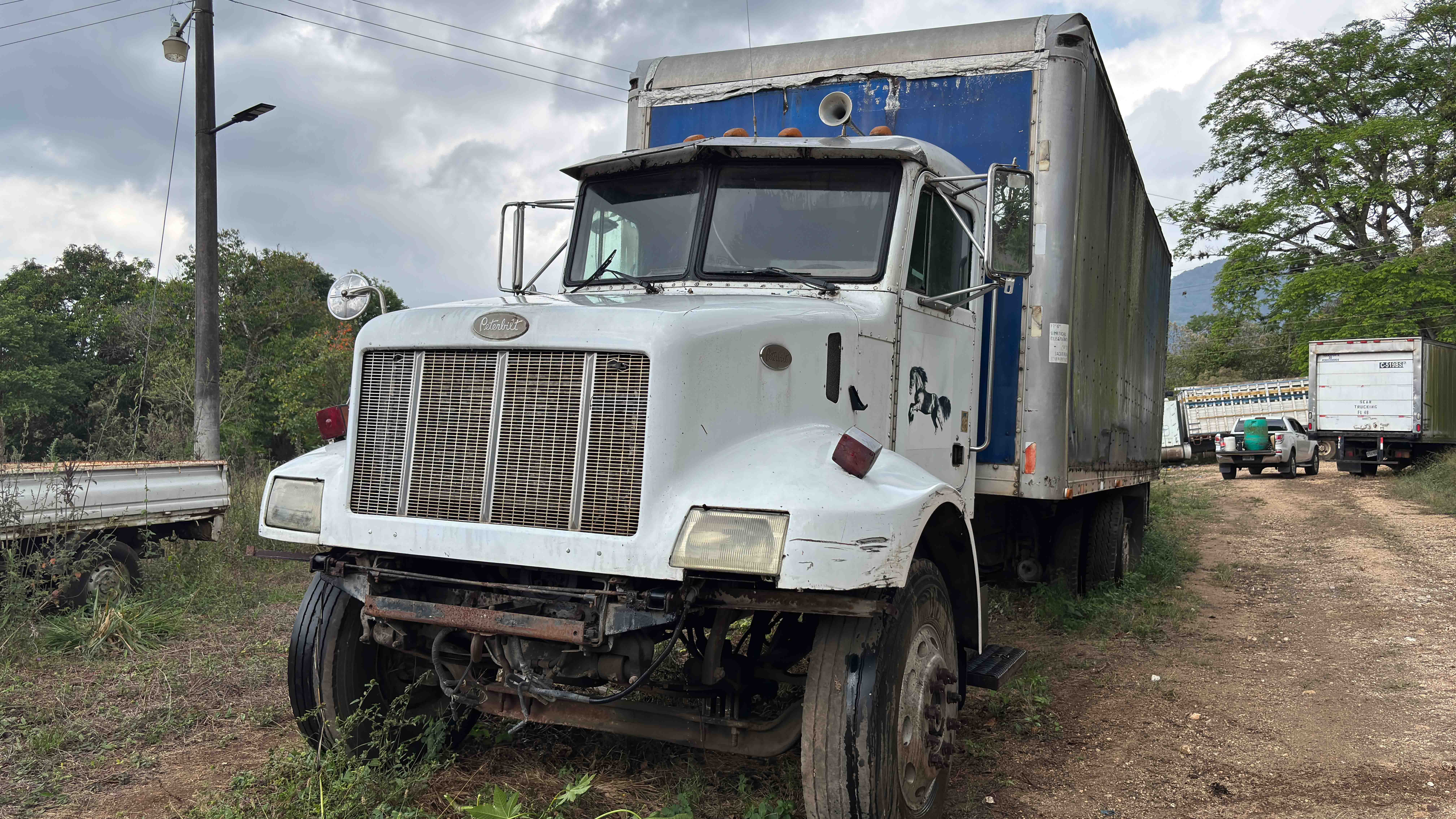 Camión Peterbilt Turbo Intercooled 1998 (lote 17)