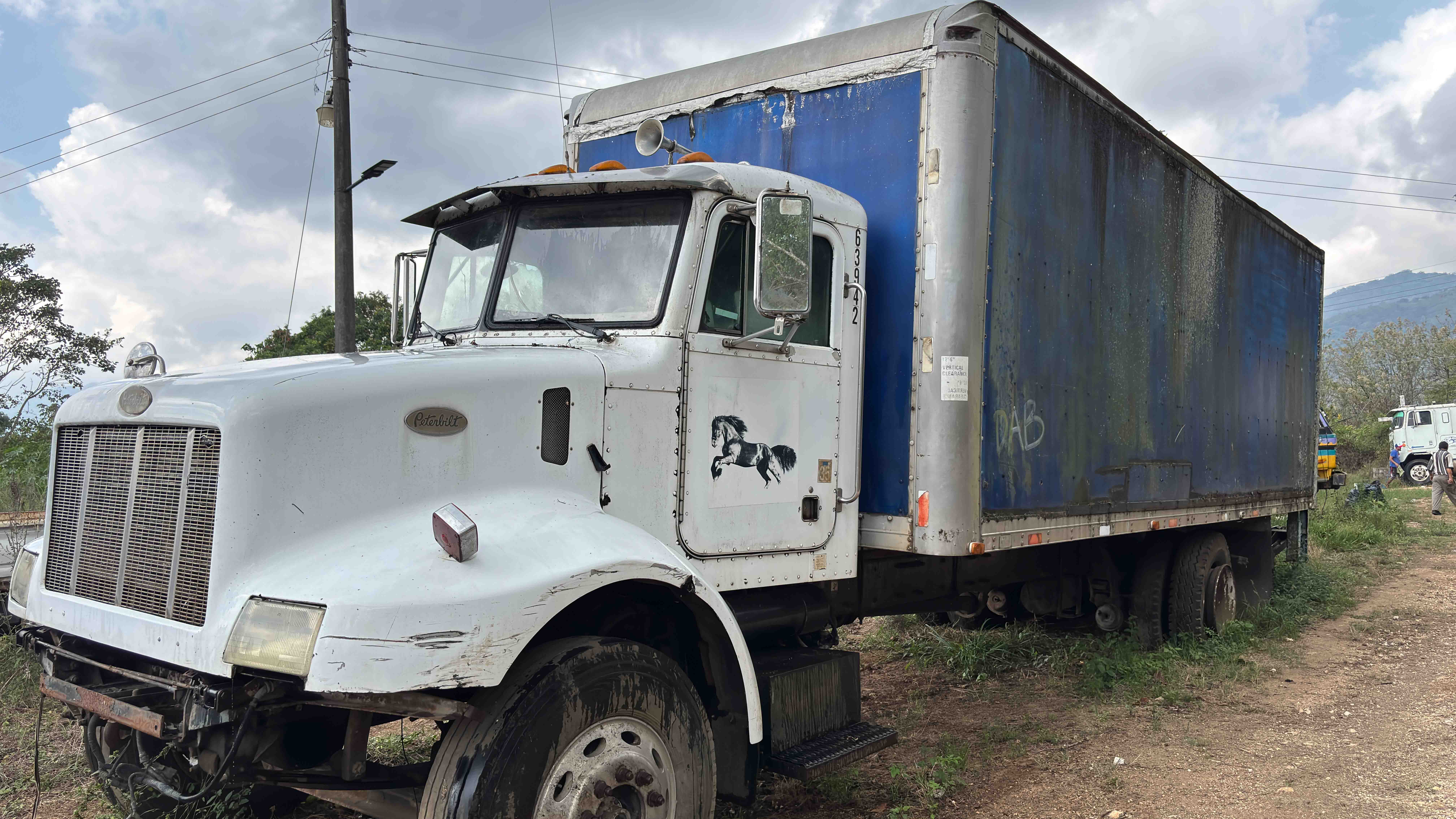 Camión Peterbilt Turbo Intercooled 1998 (lote 17), fotografía 2