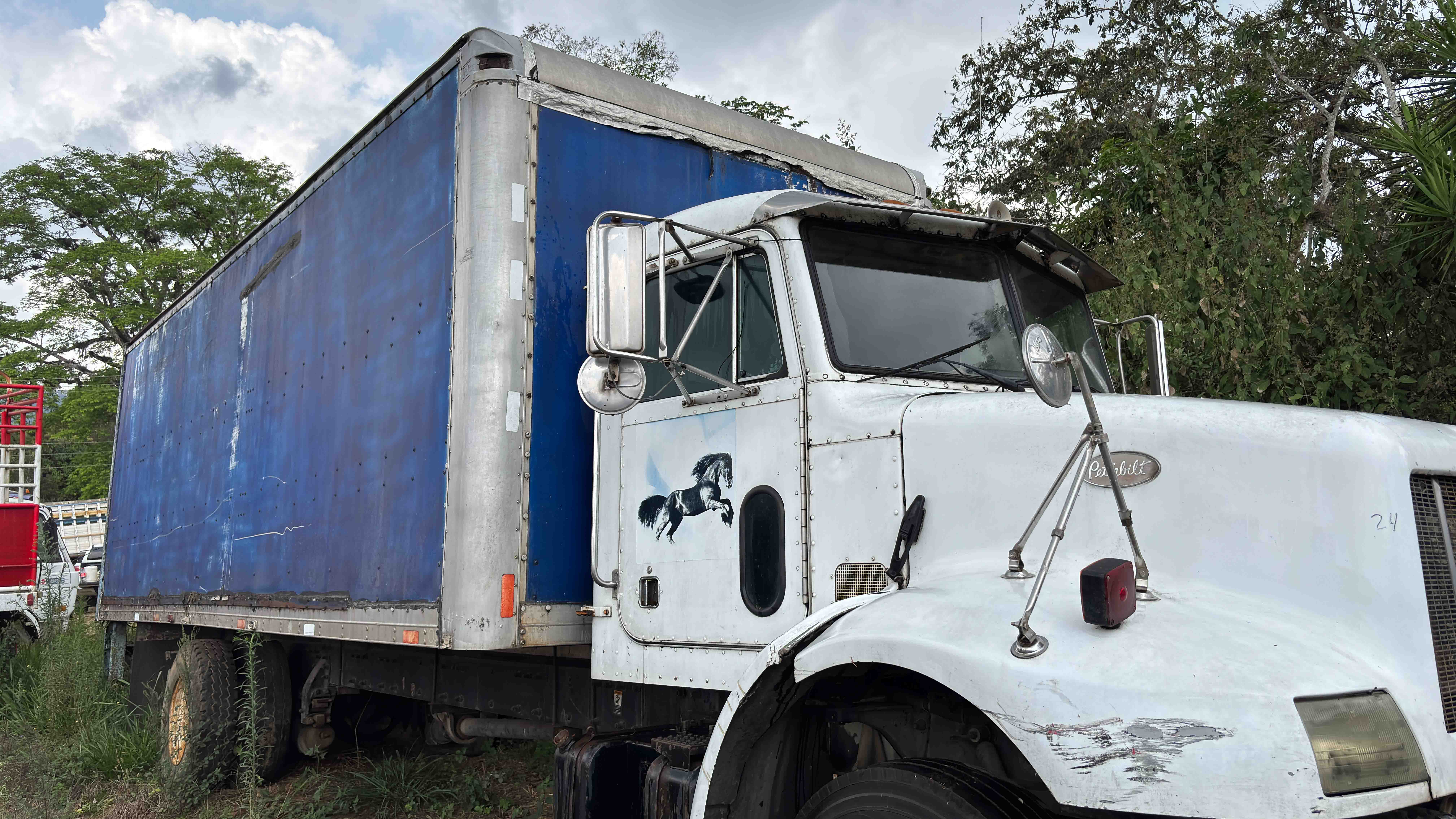 Camión Peterbilt Turbo Intercooled 1998 (lote 17), fotografía 4