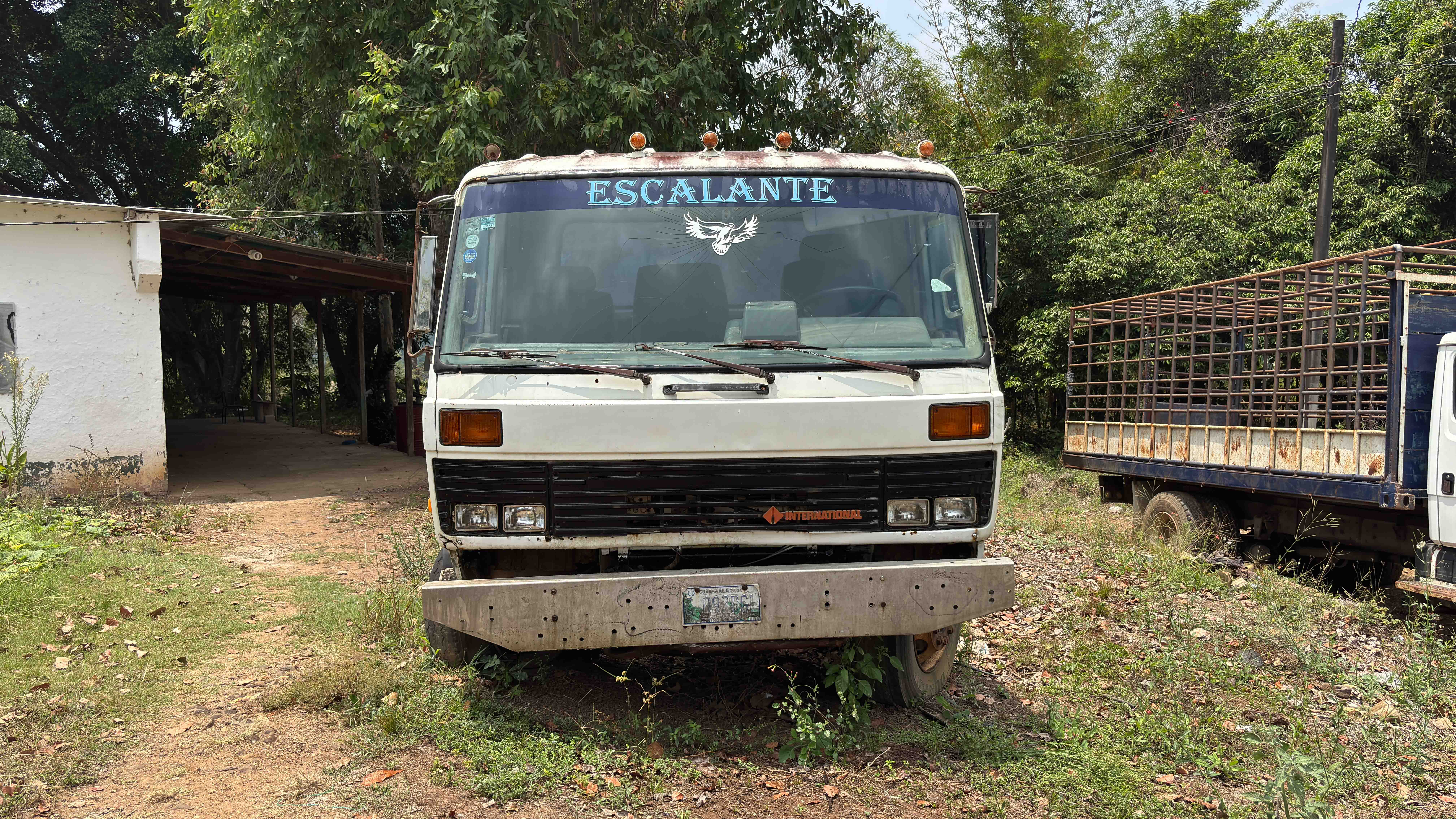 Camión International 700 1986 (lote 20)
