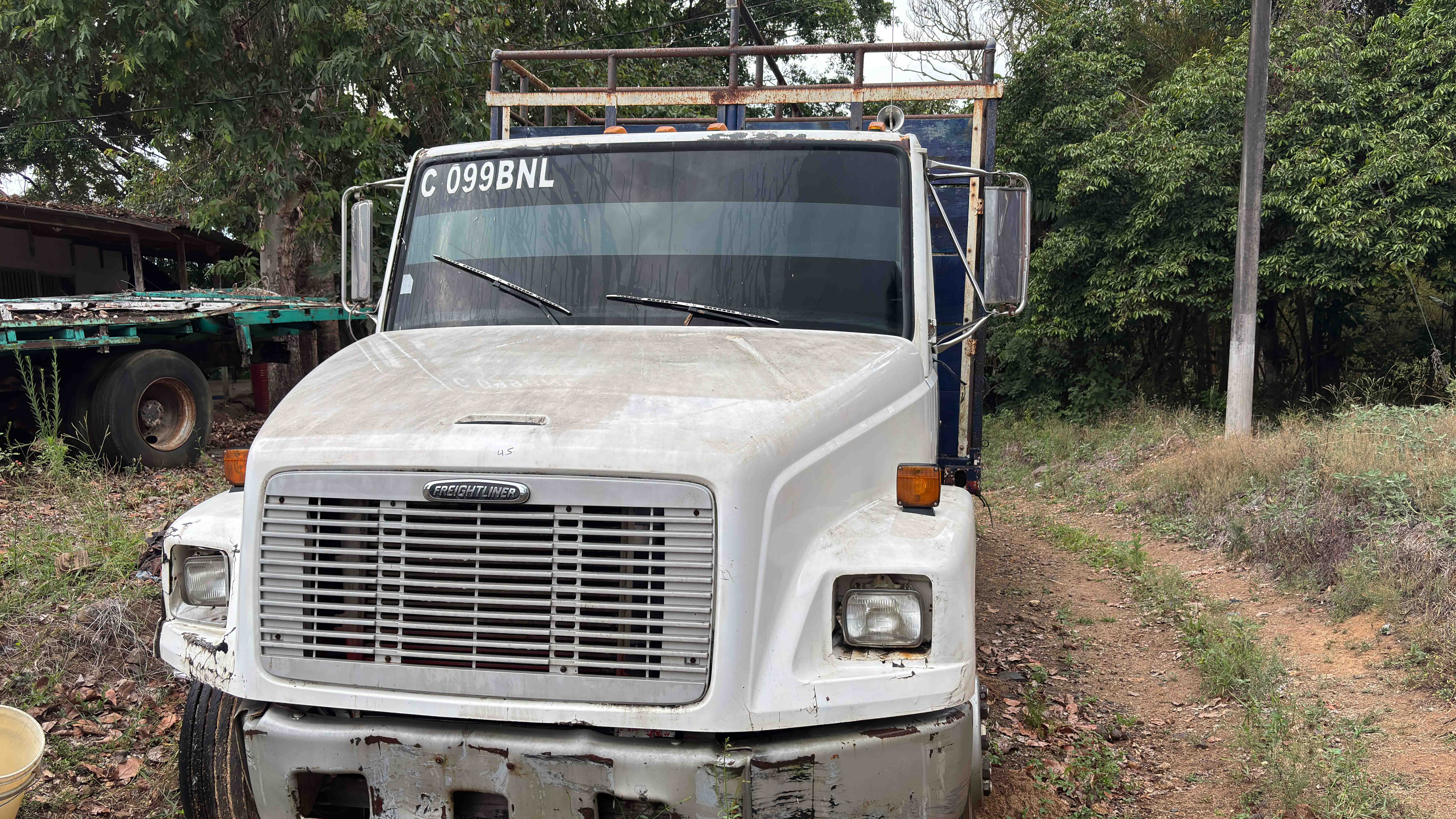 Camión Chasis Freightliner 4X2 FL70 1999 (lote 24)