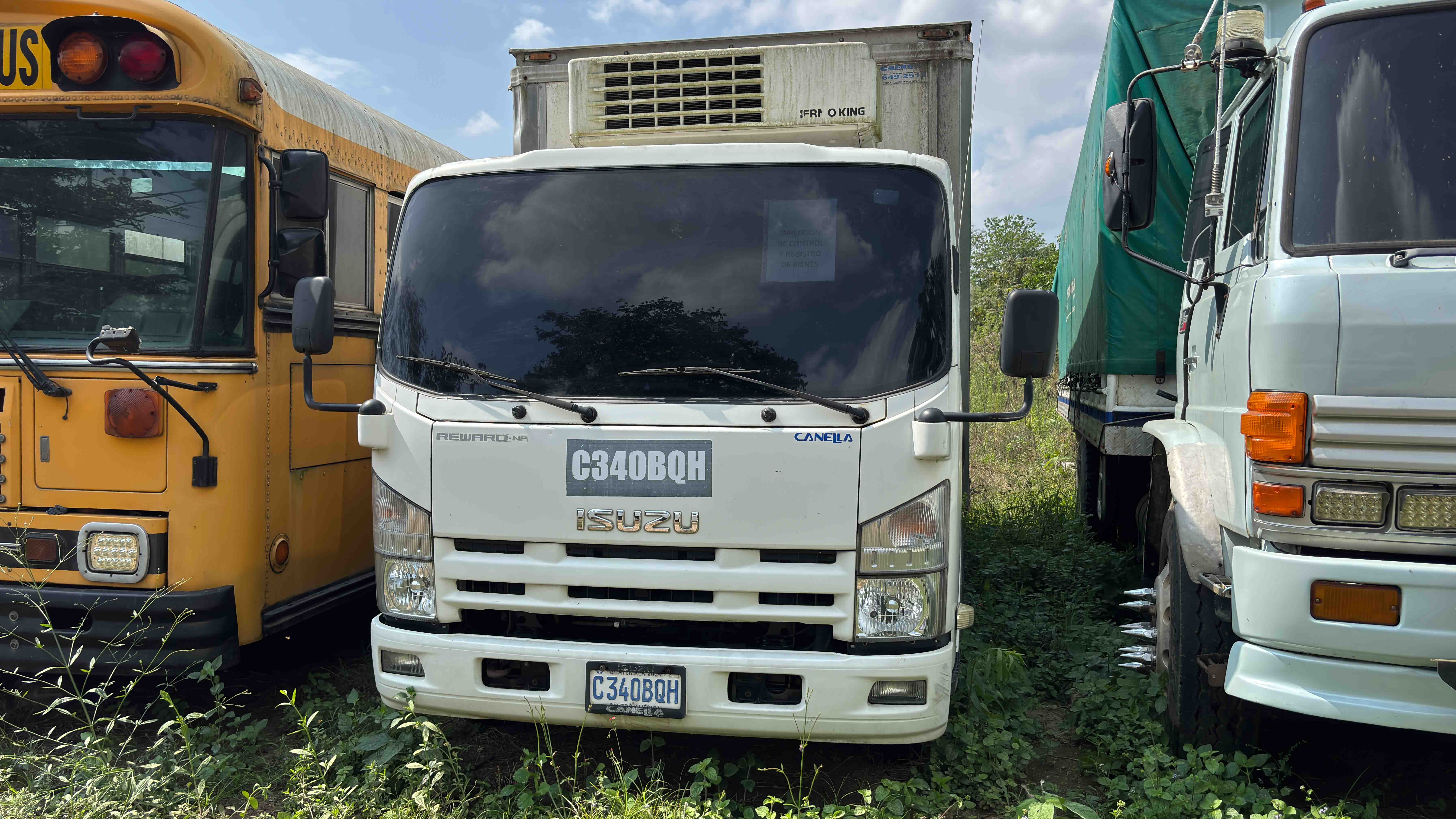 Camión Isuzu NPR 2017 (lote 35)