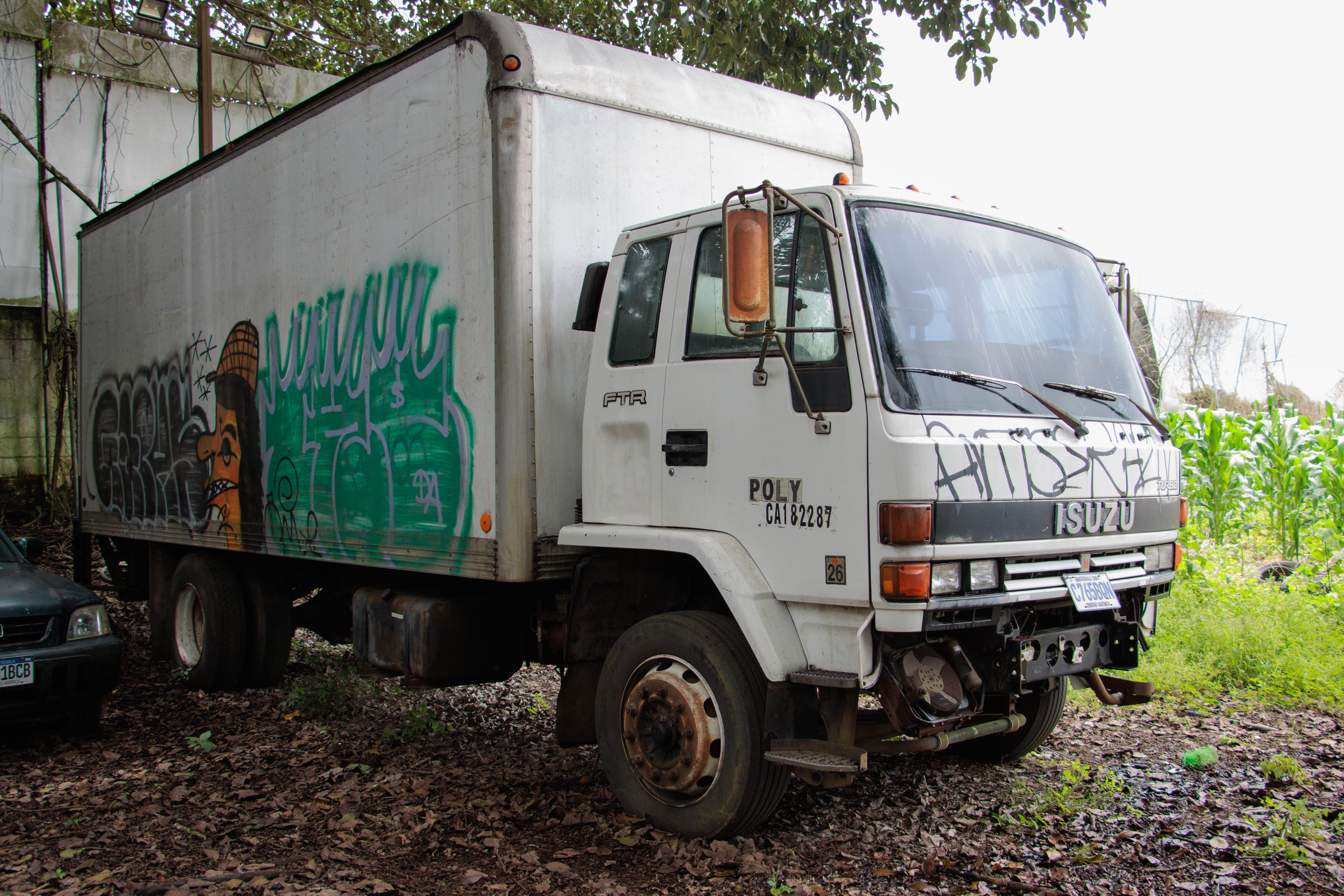 Camión Isuzu FTR Turbo 1991 (lote 05)