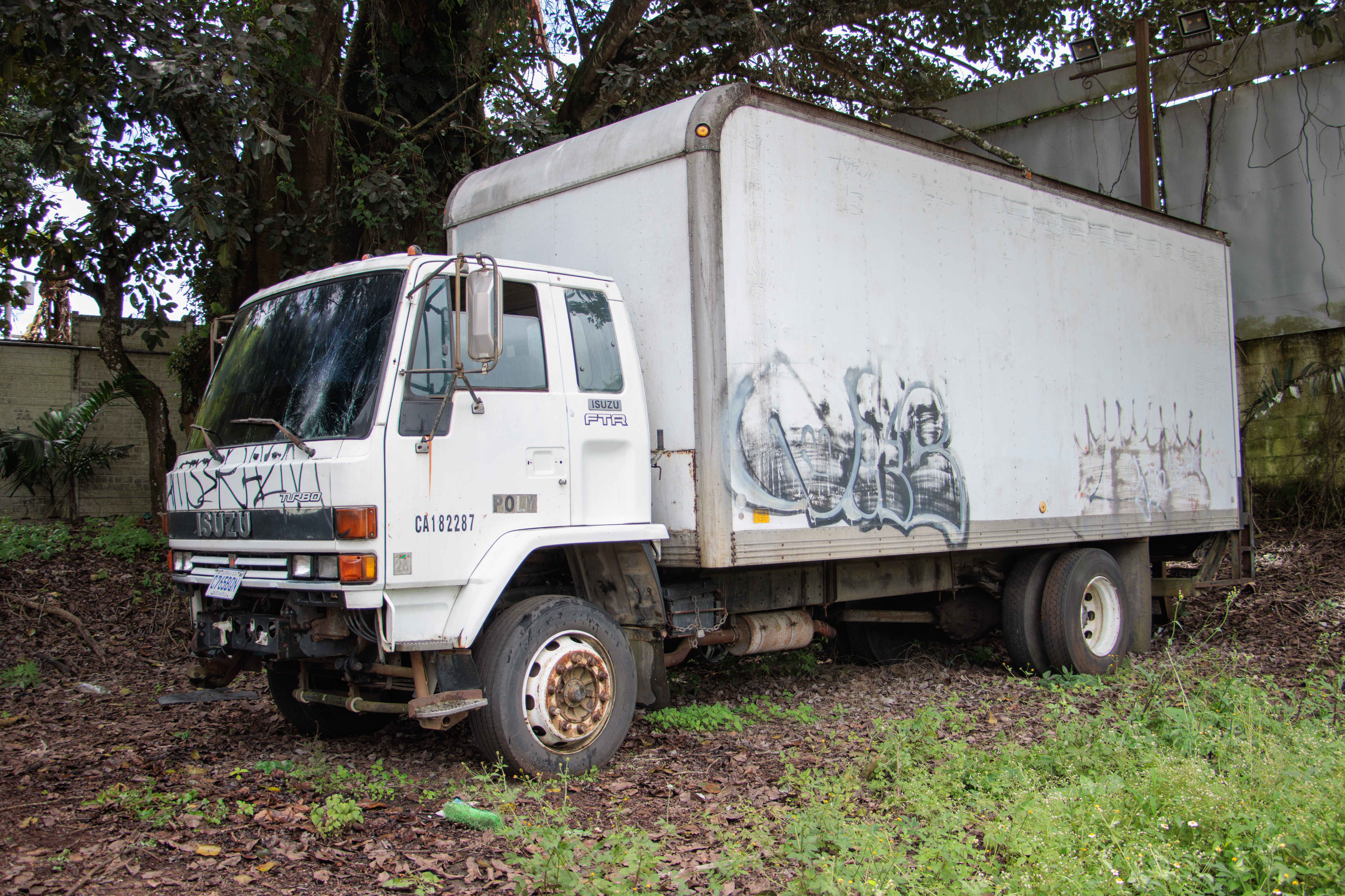Camión Isuzu FTR Turbo 1991 (lote 05), fotografía 2