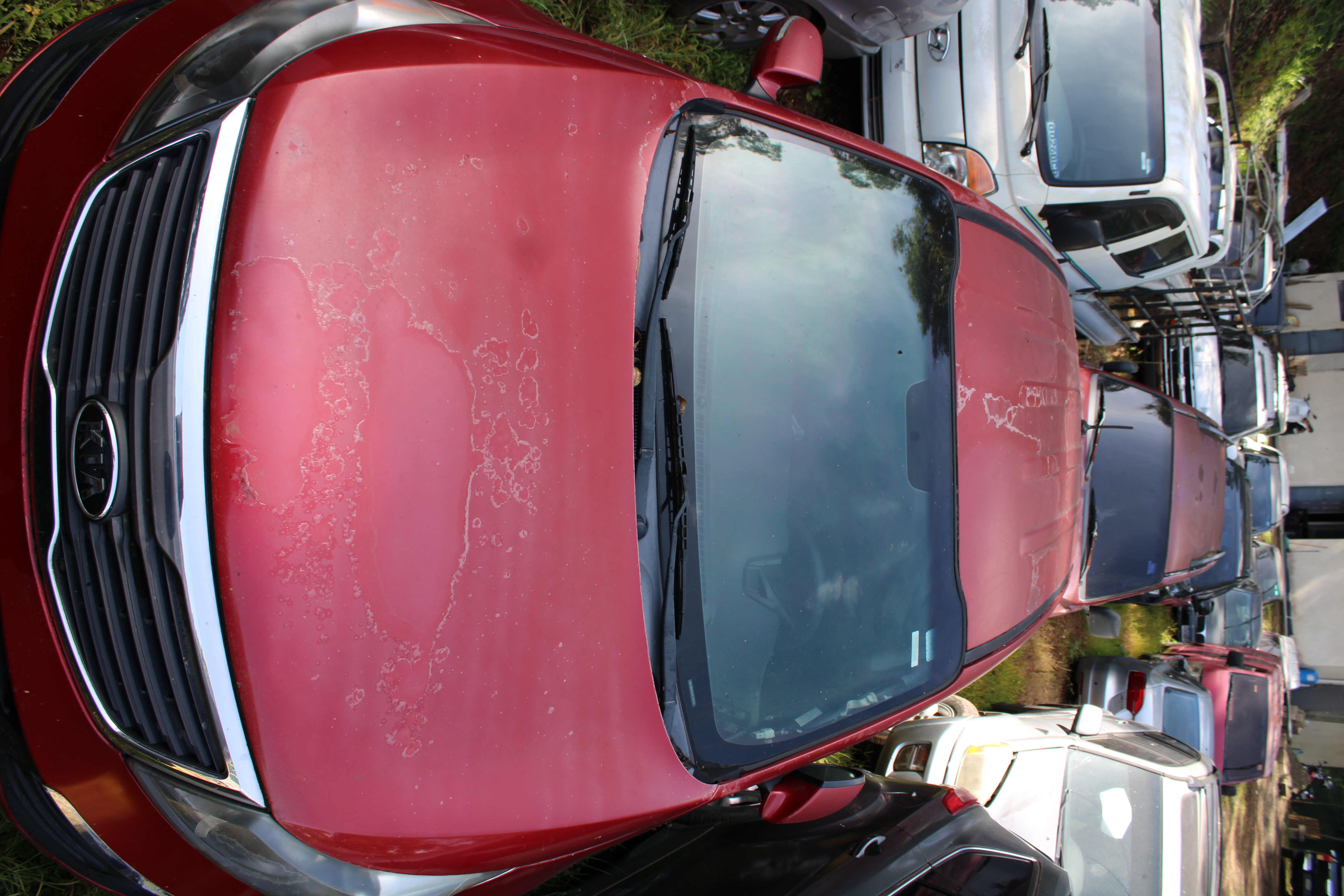 Camioneta Kia Sportage AWD 2012 (lote 22), fotografía 4