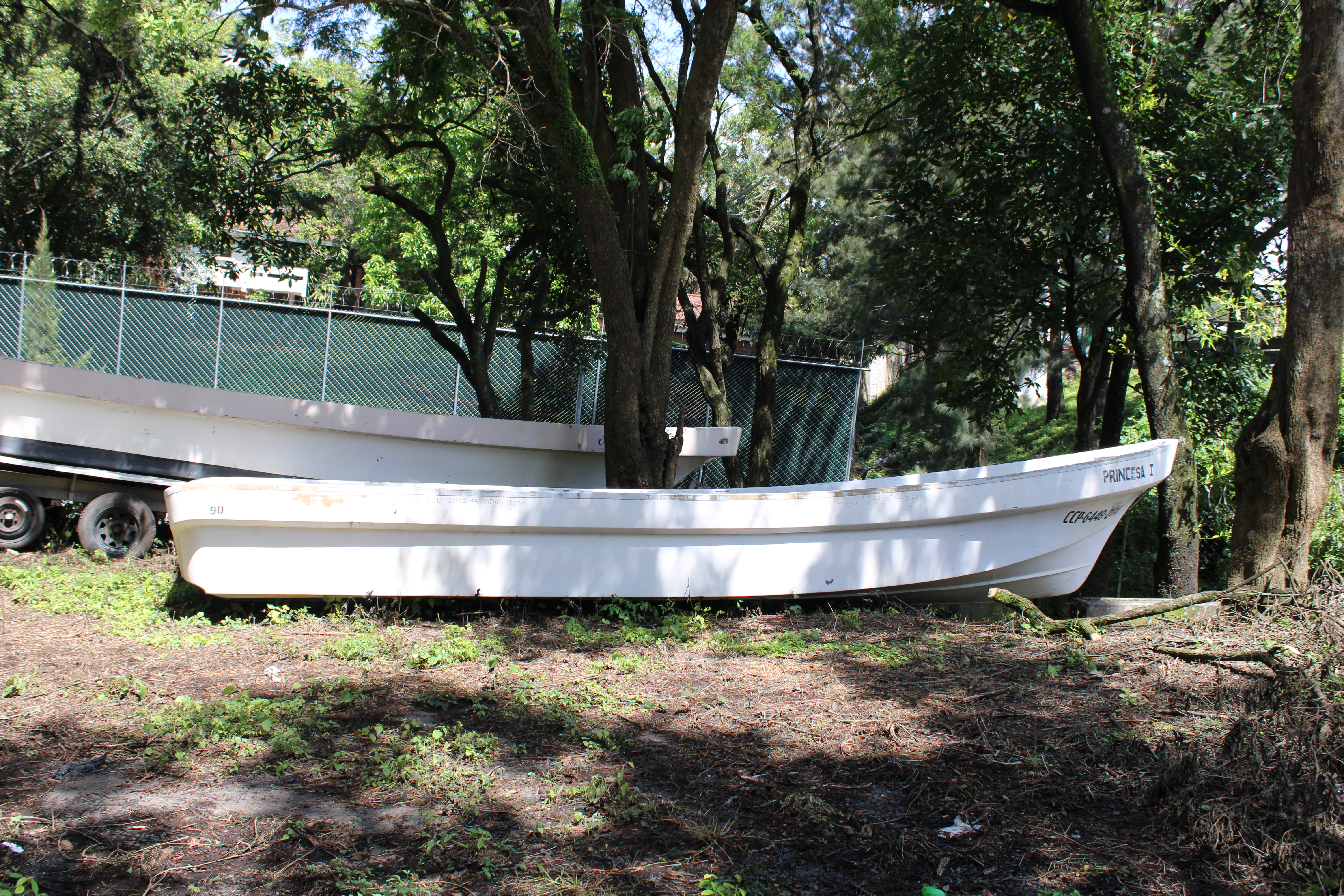 Lancha (lote 28)